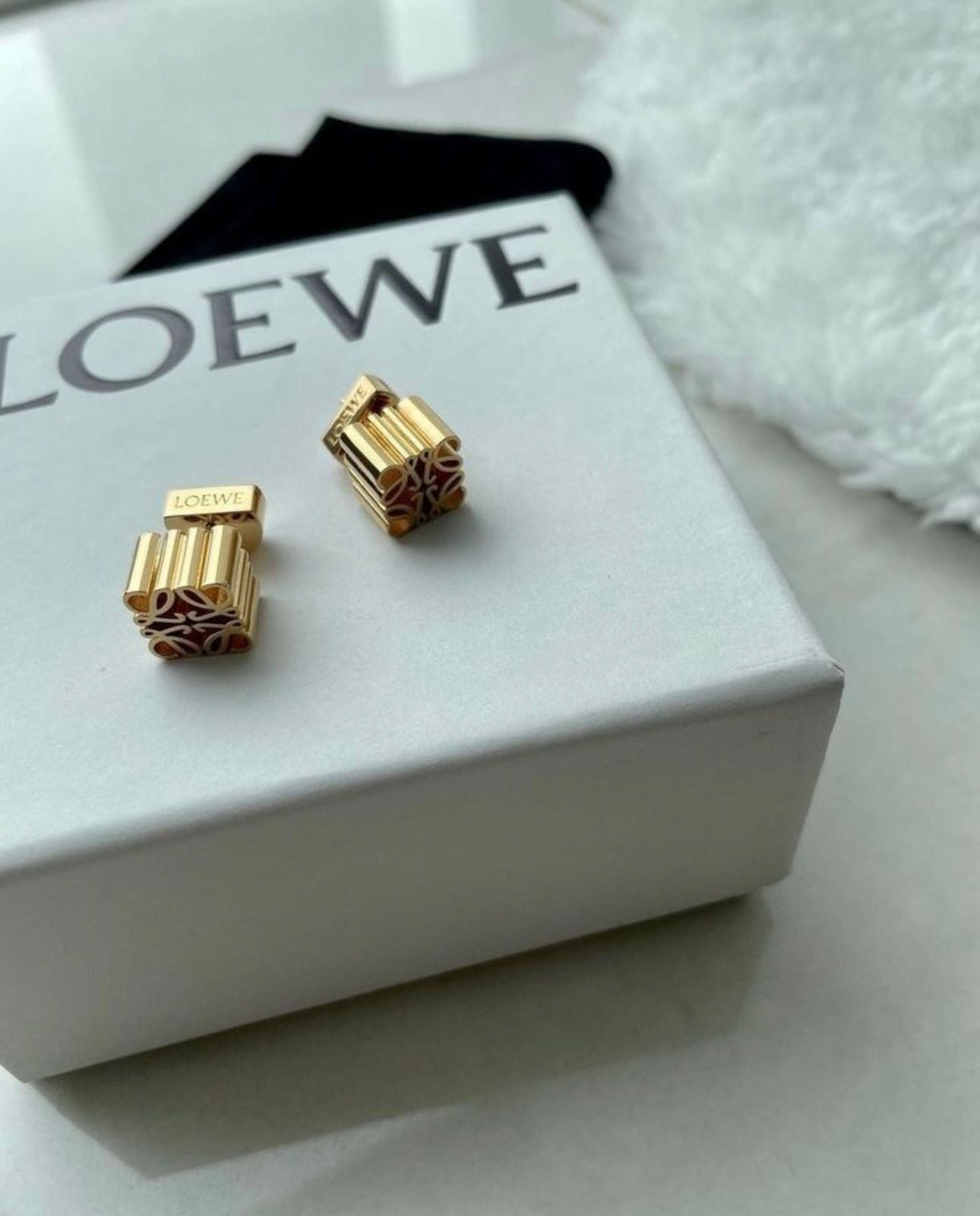Loewe Logo Beautiful Earrings – Timeless Designer Elegance