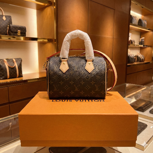 LV Speedy Bag