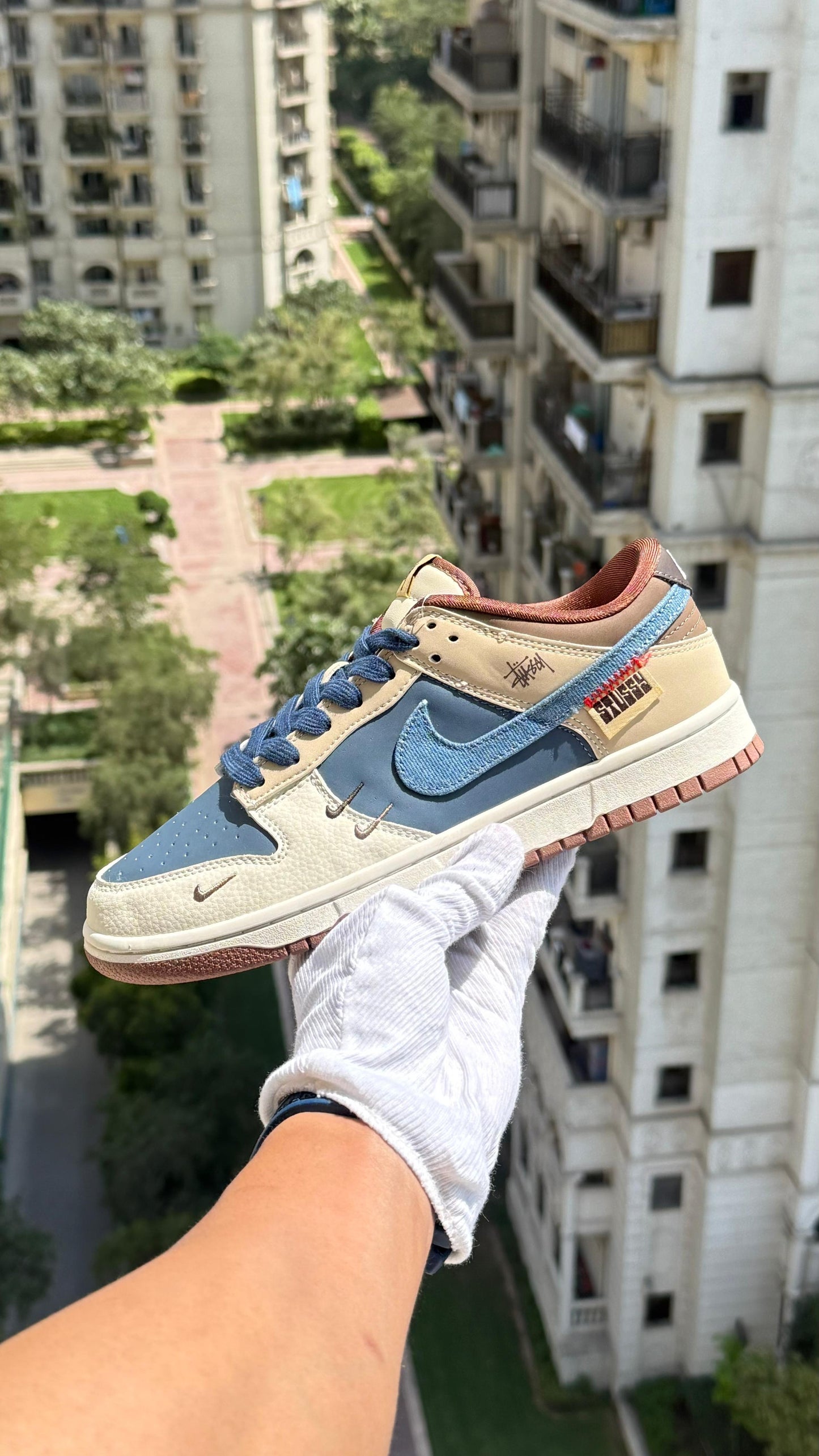 Nike Sb Dunk Sneakers