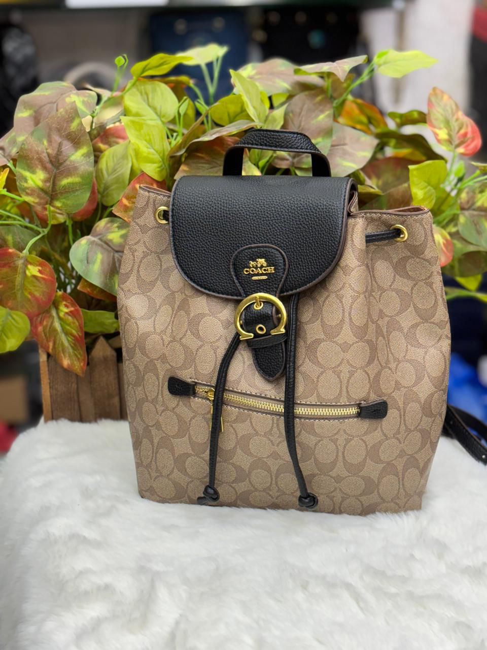 COACH Luxury Backpack