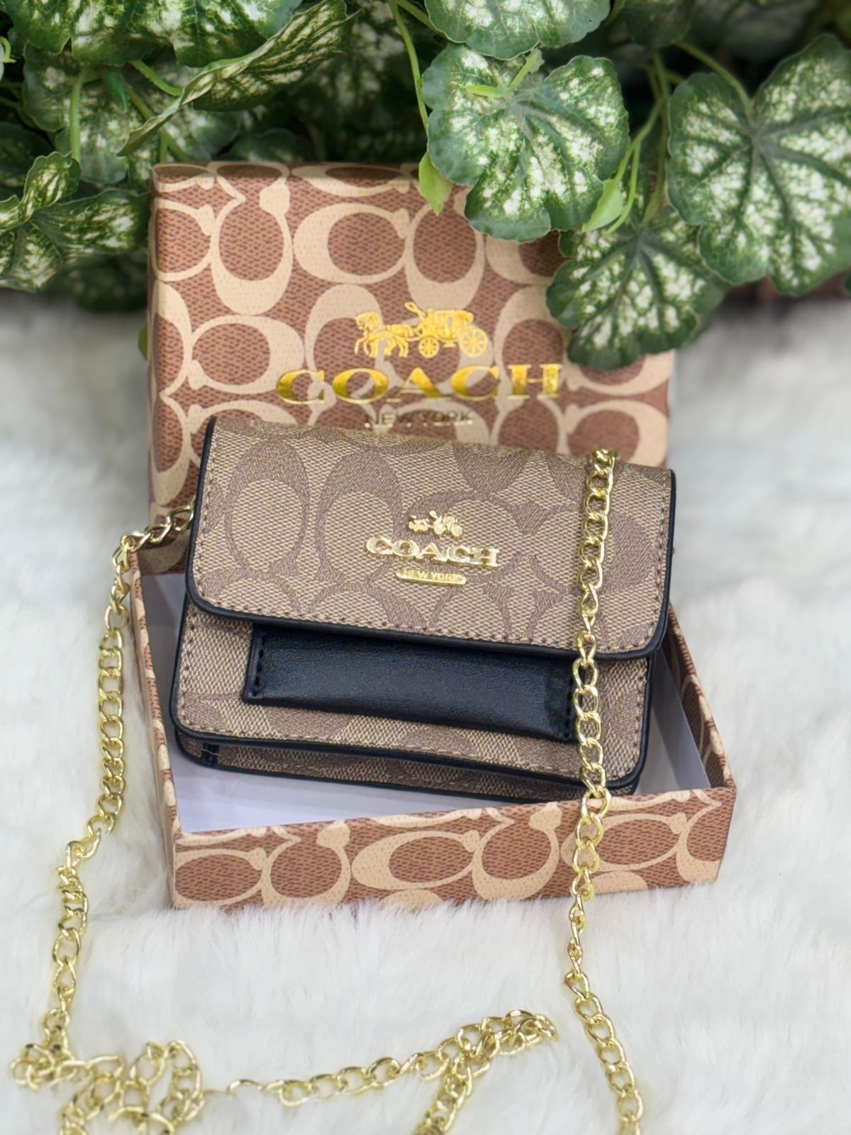 Coach Mini Sling Bag – Classic Designer Style