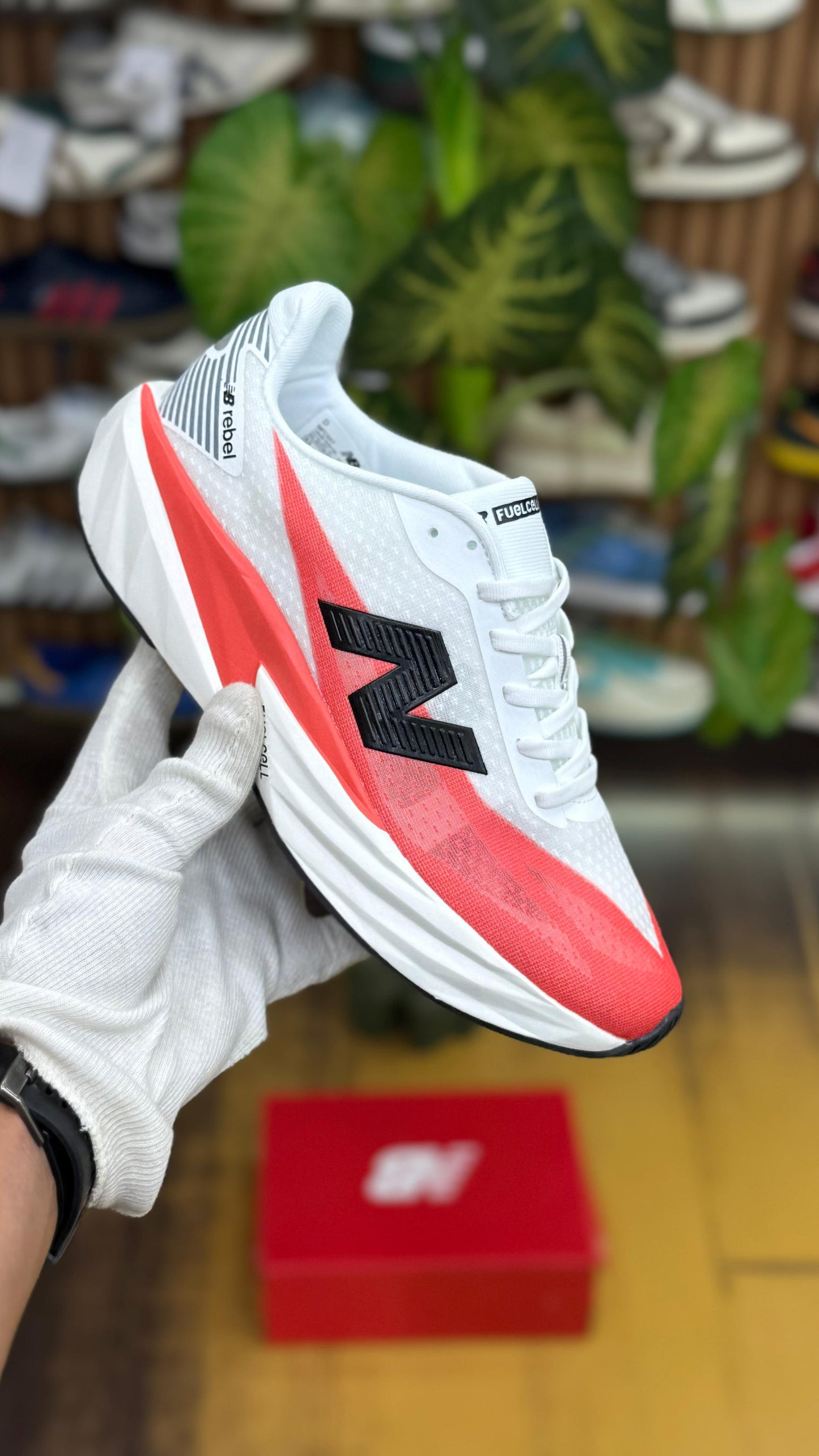 New Balance FuelCell Rebel v5 Shoes