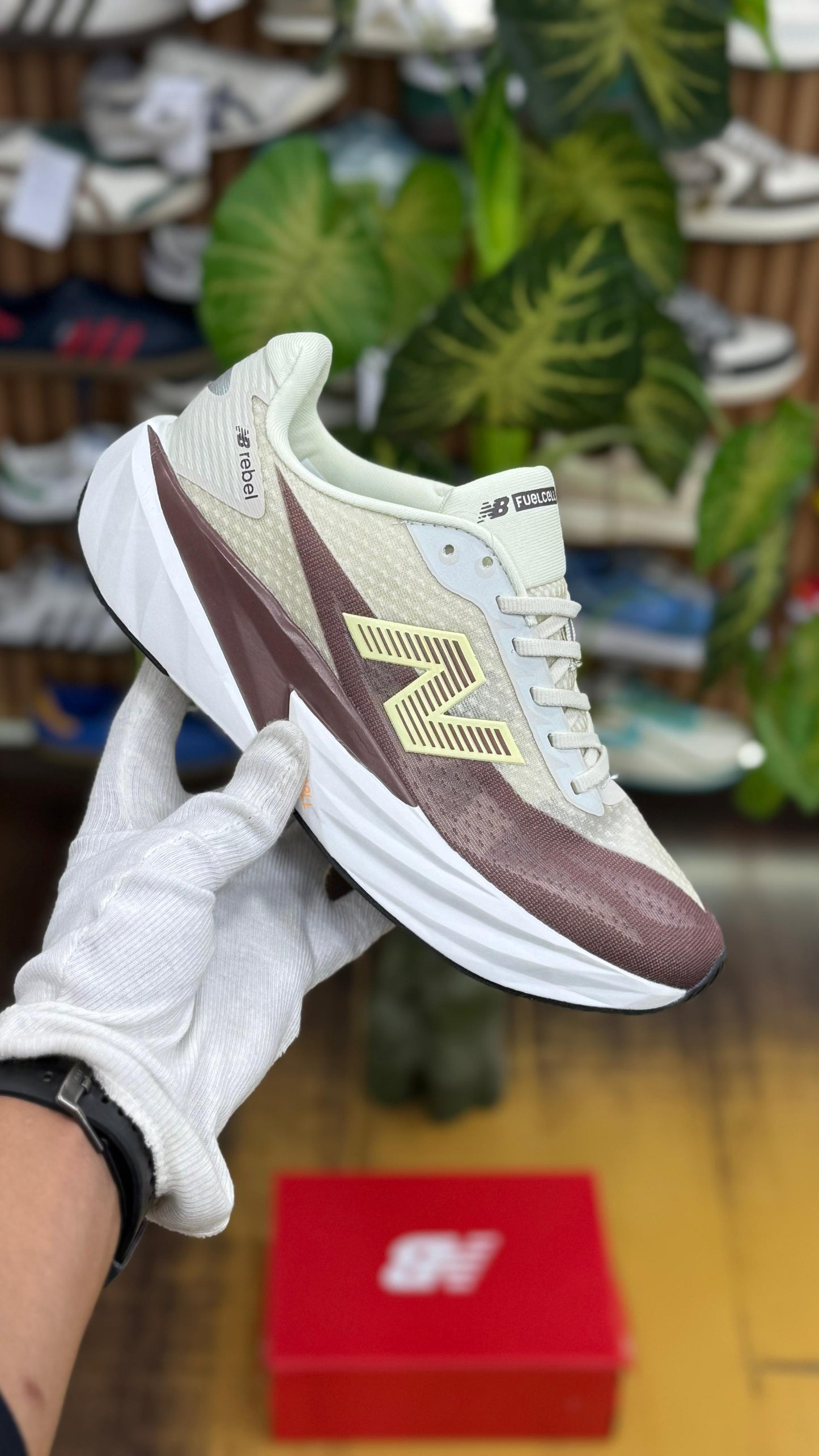 New Balance FuelCell Rebel v5 Shoes