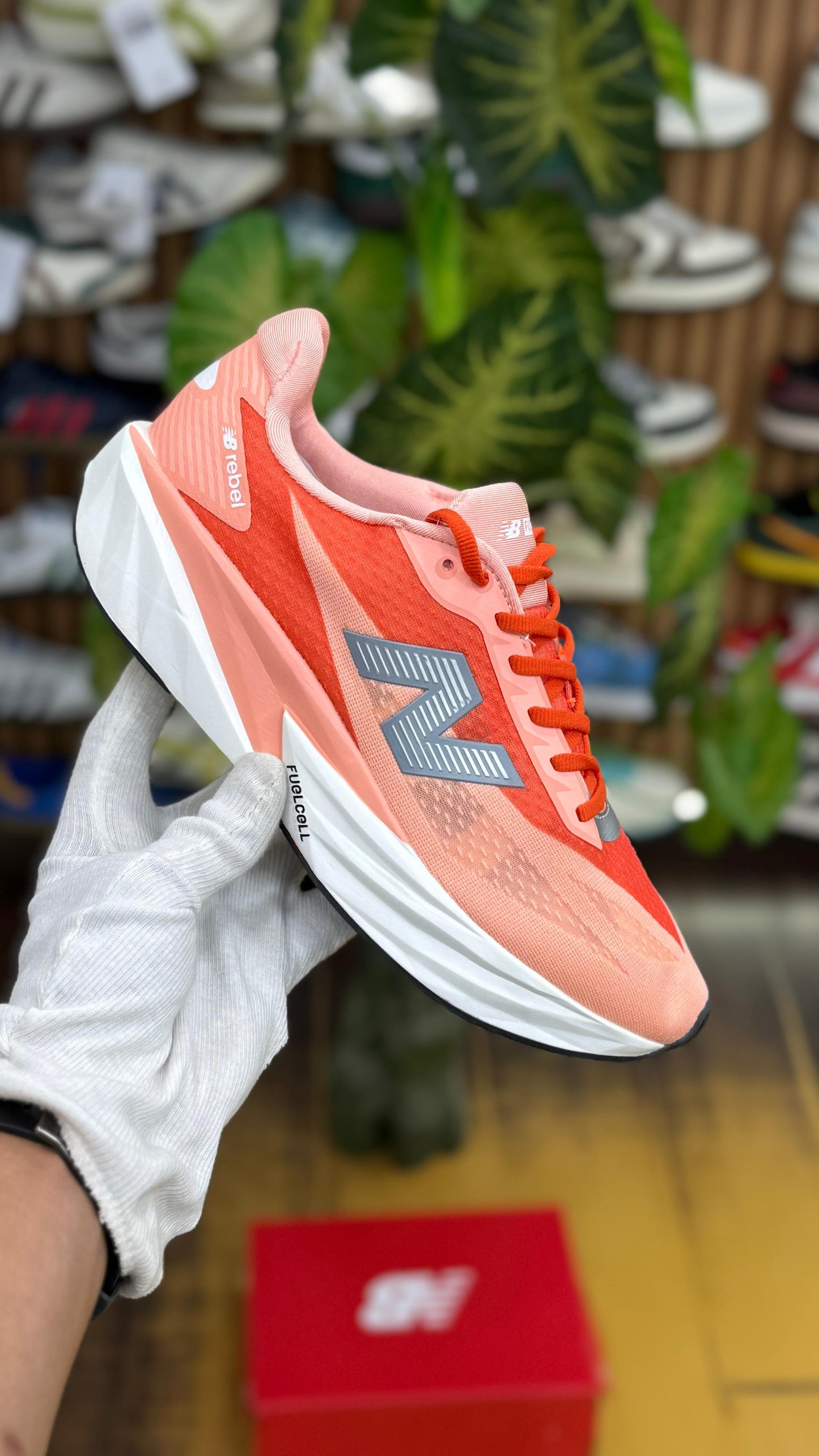 New Balance FuelCell Rebel v5 Shoes