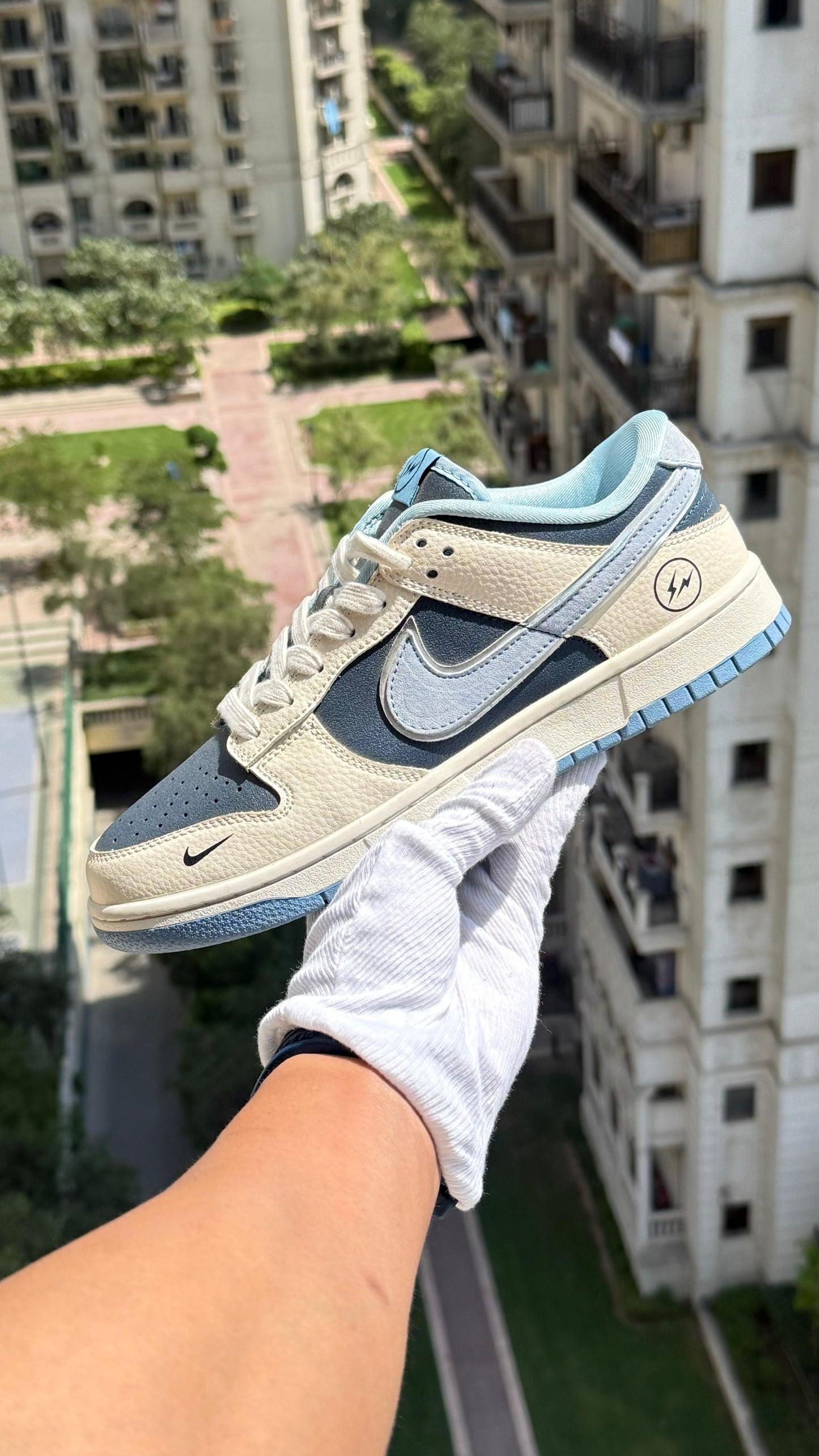 Nike Sb Dunk Sneakers