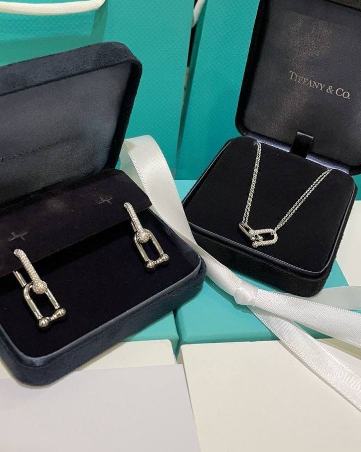 Tiffany&Co. Link Beautiful NeckChain And Earring Combo