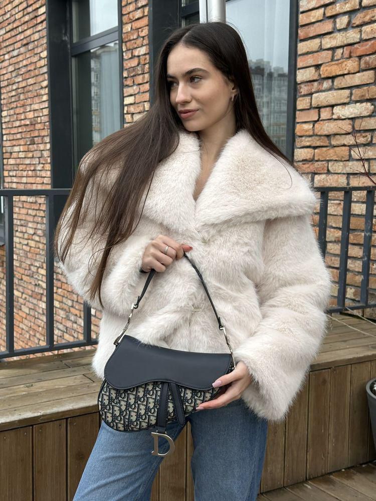 Dior Saddle Bag 25cm Leather and Canvas with Black D-Print and Silver Metal