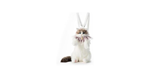 Cat Backpack with Meow Sound – With Dress Set