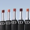 DIOR Rogue DIOR Forever Lipstick in shade Red