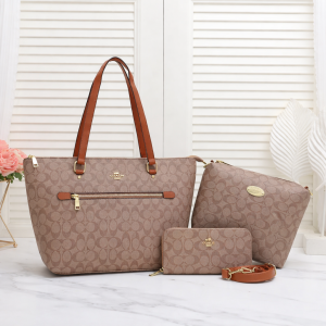 ChatGPTImageMar19_2026_02_45_59PM.png Coach Designer Handbag Combo Set (Premium Luxury Collection)