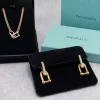 ChatGPT_Image_Apr_14_2026_12_46_37_PM.png Tiffany&Co. Link NeckChain with elegant design