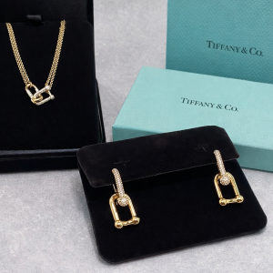 ChatGPT_Image_Apr_14_2026_12_46_37_PM.png Tiffany&Co. Link Beautiful NeckChain And Earring Combo