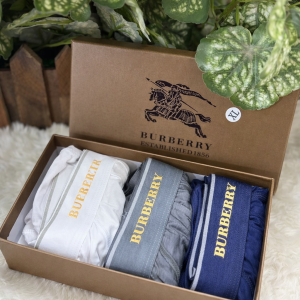 ChatGPT_Image_Mar_11_2026_04_04_55_PM.png Burberry Men’s brief (Set Of 3)
