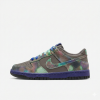 Nike Dunk Low SE Older Kids' Shoes