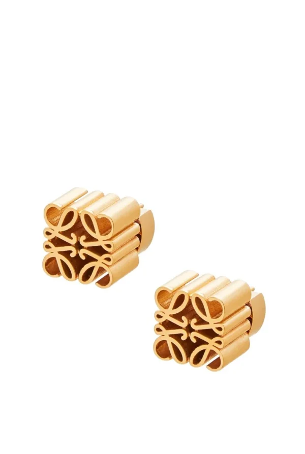 Loewe Logo Beautiful Earrings showcasing designer elegance