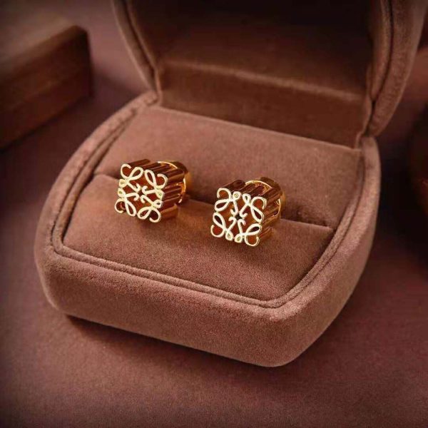 Loewe Logo Beautiful Earrings – Timeless Designer Elegance