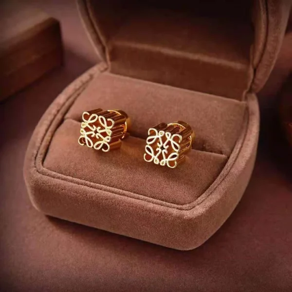 Loewe Logo Beautiful Earrings showcasing designer elegance