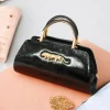 Sabyasachi Classy Elegant Clutch with Tiger Emblem