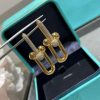 WhatsAppImage2026-03-21at3.02.45PM.jpg Tiffany & Co. Link Earrings