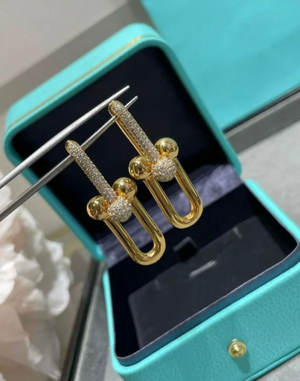 WhatsAppImage2026-03-21at3.02.45PM.jpg Tiffany & Co. Link Earrings close-up view