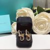 WhatsAppImage2026-03-21at3.02.46PM.jpg Tiffany & Co. Link Earrings