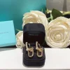 WhatsAppImage2026-03-21at3.02.46PM.jpg Tiffany & Co. Link Earrings close-up view
