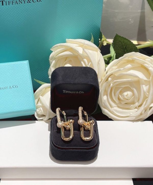 WhatsAppImage2026-03-21at3.02.46PM.jpg Tiffany & Co. Link Earrings