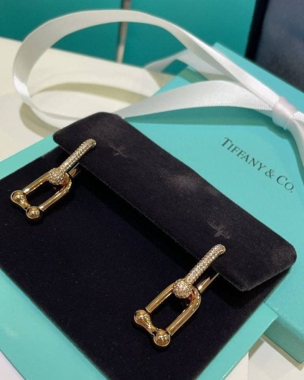 WhatsAppImage2026-03-21at3.02.46PM_1.jpg Tiffany & Co. Link Earrings