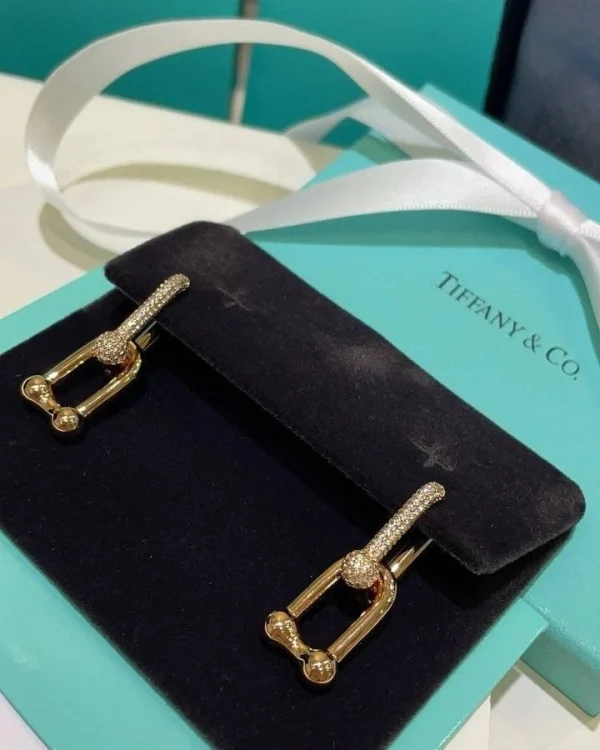 WhatsAppImage2026-03-21at3.02.46PM_1.jpg Tiffany & Co. Link Earrings close-up view