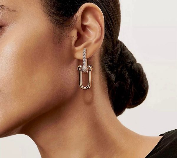 WhatsAppImage2026-03-21at3.02.47PM.jpg Tiffany & Co. Link Earrings