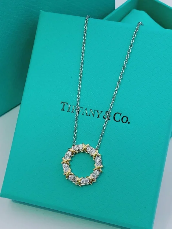WhatsAppImage2026-04-13at3.55.04PM.jpg Sixteen Stone By Tiffany Circle Chain Pendent close-up