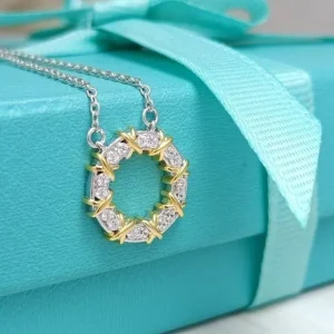 Sixteen Stone By Tiffany Circle Chain Pendent close-up