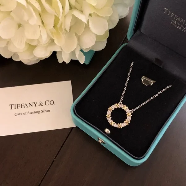 WhatsAppImage2026-04-13at3.55.04PM_2.jpg Sixteen Stone By Tiffany Circle Chain Pendent close-up