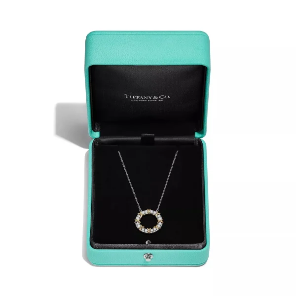 WhatsAppImage2026-04-13at3.55.06PM.jpg Sixteen Stone By Tiffany Circle Chain Pendent close-up