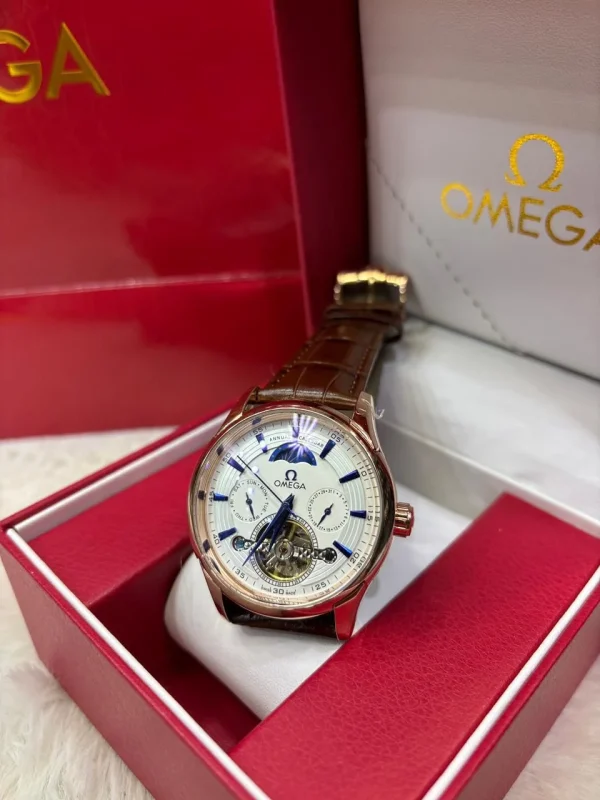 WhatsAppImage2026-04-21at6.47.39PM.jpg Omega De Ville Tourbillon Annual Calendar Luxury Watch front view