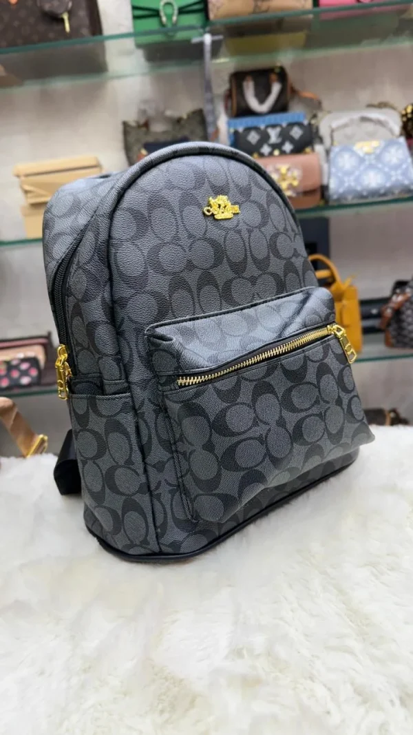 COACH Luxury Backpack front view