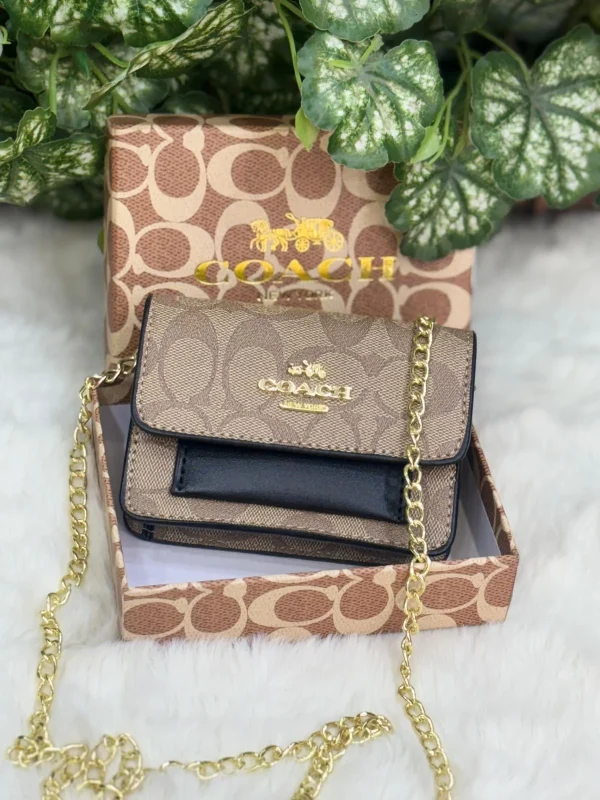 WhatsApp_Image_2026-01-25_at_8.45.08_PM.jpg Coach Mini Sling Bag in classic design