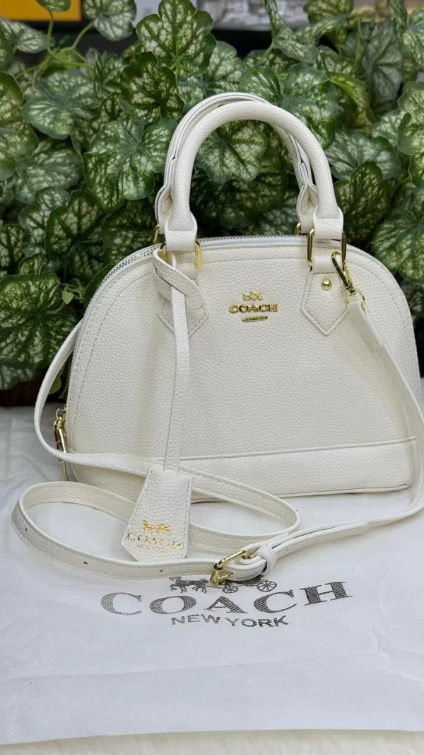 Front view of Coach Alma Bag in elegant design