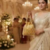 WhatsApp_Image_2026-02-19_at_8.01.31_PM.jpg Luxory Royal Pearl Embroidered Potli Bag front view