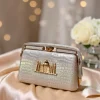 WhatsApp_Image_2026-03-08_at_8.49.50_PM_1.jpg Sabyasachi Taj Heritage Clutch front view