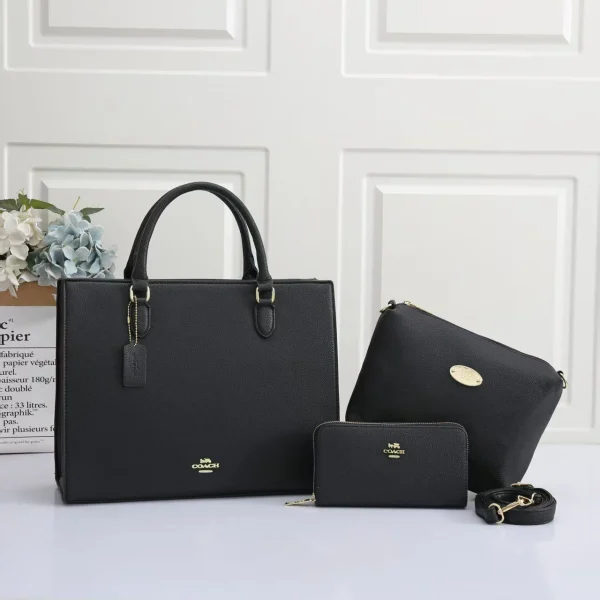 Coach Designer Handbag Combo Set in elegant black