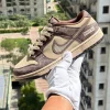 Nike Sb Dunk Sneakers in black and white