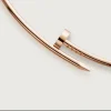 Cartier Juste un Clou Torque Necklace front view