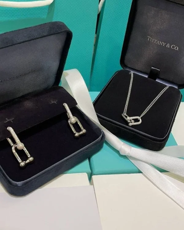 WhatsApp_Image_2026-04-13_at_3.54.42_PM.jpg Tiffany&Co. Link NeckChain with elegant design