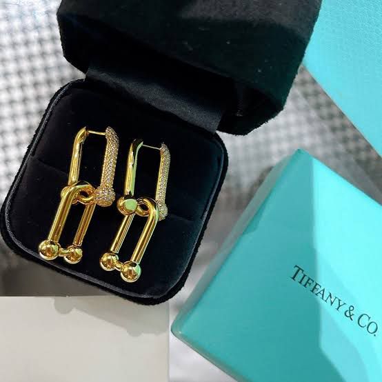 Tiffany&Co. Link Beautiful NeckChain And Earring Combo
