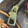 Front view of LV Speedy Bag in classic design