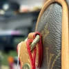 Front view of LV Speedy Bag in classic design